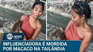 Influenciadora é mordida por macaco na Tailândia; vacina custa R$ 7 mil | #SBTNews Manhã (15/01/25)