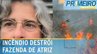 Bituca pode ter provocado incêndio em fazenda de Lúcia Veríssimo | Primeiro Impacto (17/06/24)