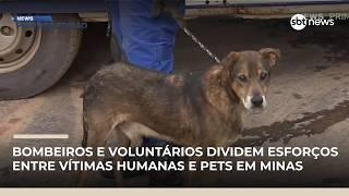 Bombeiros e voluntários dividem esforços entre vítimas humanas e pets em Minas | #NewsPrimeiraEdição
