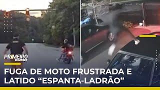 Fuga termina após gasolina de moto acabar e ladrões fogem de “cachorro” inusitado | #PrimeiroImpacto