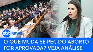 O que muda se PEC do Aborto for aprovada? Veja análise