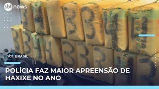 Polícia apreende 700 kg de haxixe na região metropolitana de Curitiba | SBT Brasil (02/06/25)