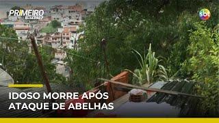 Idoso é encontrado morto após ataque de abelhas dentro de casa em Caieiras (SP) | #PrimeiroImpacto