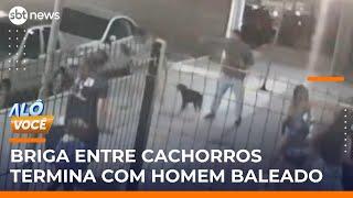 Homem é baleado após briga entre cachorros no centro de SP | #AloVoce