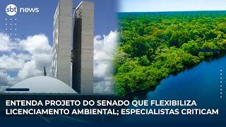 Entenda projeto do Senado que flexibiliza licenciamento ambiental; especialistas criticam