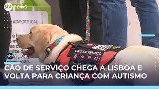 Após quase dois meses, cão de suporte emocional embarca para Portugal | SBT Brasil (31/05/25)