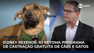 Sidney Rezende: Governo do RJ retoma programa de castração gratuita de cães e gatos