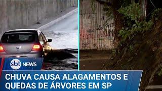 Temporal causa alagamentos e quedas de árvores nas ruas de São Paulo | #SBTNews (26/12/24)