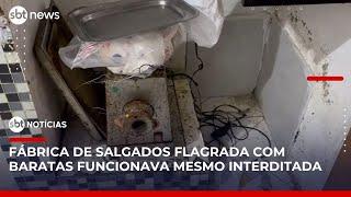 Polícia fecha fábrica clandestina de salgados no Rio | #SBTNotícias (05/06/25)