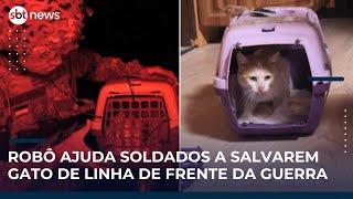 Soldados ucranianos usam robô para resgatar gato de trincheiras na linha de frente | #SBTNews