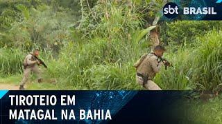 Policiais trocam tiros com criminosos em matagal na Bahia | SBT Brasil (17/10/24)