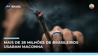 Consumo de maconha cresce entre meninas e preocupa especialistas no Brasil | #SBTBrasil