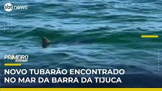 Novo tubarão é visto na Barra da Tijuca, no Rio de Janeiro | Primeiro Impacto (21/05/25)