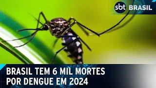 Dengue matou mais de 6 mil pessoas no Brasil em 2024 | SBT Brasil (02/01/25)