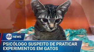 Psicólogo é indiciado por adotar e praticar “experimentos” em gatos no DF | #SBTNews (19/03/25)