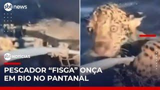 Pescador “fisga” filhote de onça-pintada em rio no Pantanal | #SBTNotícias