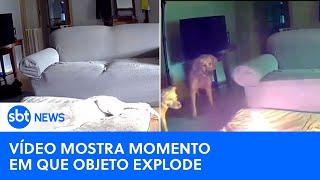 Cachorro causa incêndio ao mastigar carregador portátil; Bombeiros fazem alerta