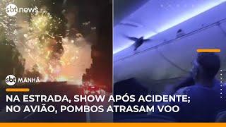 Flagras do mundo: “show” após acidente e invasão de pombos em avião | #SBTManhã (28/05/25)