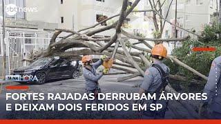 Rajadas de vento causam estragos e deixam feridos em São Paulo | Tá na Hora (28/05/25)