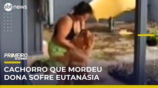 Cachorro que mordeu a dona no rosto é sacrificado e caso gera polêmica | Primeiro Impacto (16/05/25)