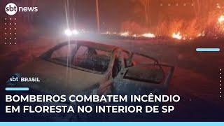 Bombeiros combatem incêndio na Floresta Nacional de Ipanema em São Paulo | #SBTBrasil