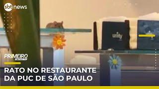 Rato é flagrado em refeitório da PUC-SP durante o almoço | Primeiro Impacto (23/05/25)