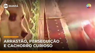 Três homens são detidos após arrastão e perseguição com direito a cachorro curioso | #SBTManhã