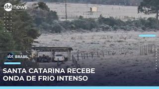 Geada, neve e congelamento atingem a região da serra catarinense | #SBTBrasil 