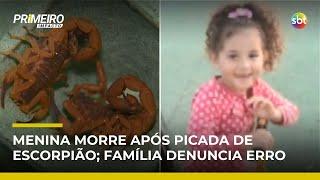 SP: Menina de 4 anos morre após picada de escorpião; família denuncia erro médico | #PrimeiroImpacto