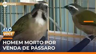 Discussão por venda de pássaros termina em morte dentro de chácara | #AloVoce