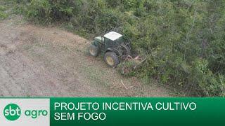 Projeto no Pará incentiva cultivo de plantações sem fogo