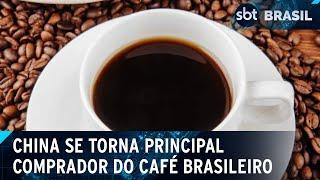 Importação de café brasileiro dispara na China e preço sobe no Brasil  | SBT Brasil (22/03/25)