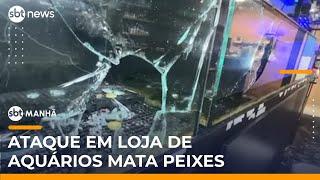 Ataque a loja de aquários causa morte de 50 peixes e 70 corais | #SBTManhã