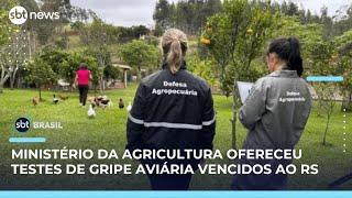 Gripe aviária: RS recusou testes vencidos oferecidos pelo governo | SBT Brasil (21/05/25)