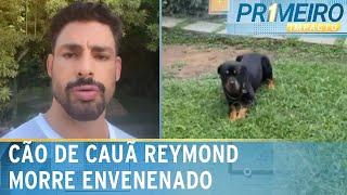 Após morte de cão de Cauã, polícia investiga outros envenenamentos | Primeiro Impacto (10/06/24)