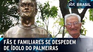 Dudu, ídolo do Palmeiras, morre aos 84 anos | SBT Brasil (29/06/24)