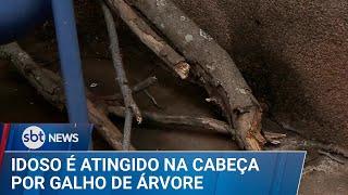 Galho de árvore cai na cabeça de idoso e causa hemorragia | #SBTNews (26/12/24)