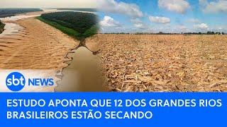 Estudo aponta que 12 dos grandes rios brasileiros estão secando