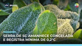 Com mínima de 0,2°C, Serra de Santa Catarina amanhece coberta de geada 