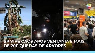 Ventania causa quedas de árvores, falta de água e cancelamentos de voos no Sudeste