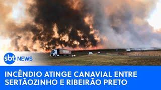 Incêndio atinge canavial entre Sertãozinho e Ribeirão Preto