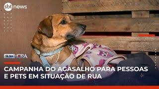 Campanha do agasalho em SP arrecada cobertores e roupas para animais de rua | Tá na Hora (20/05/25)