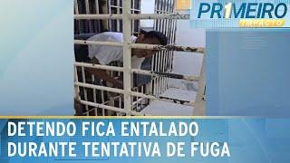 Detento fica entalado entre grades de cela ao tentar fugir de delegacia | Primeiro Impacto (08/07/24)