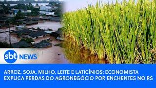 Arroz, soja, milho, leite e laticínios: economista explica perdas do agronegócio por enchentes no RS