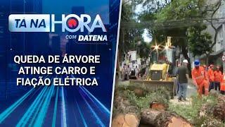 Queda de árvore atinge carro e fiação elétrica no centro de SP | Tá na Hora (09/01/25)