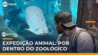 Expedição Animal: Veja bastidores de zoológico com espécies raras e cuidados especiais |#SBTNotícias