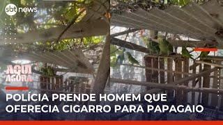 Homem que dava maconha a papagaio é preso por maus-tratos e venda ilegal de animais | #AquiAgora