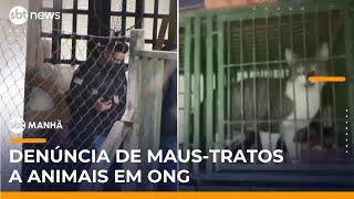 Polícia investiga denúncia de maus-tratos a animais em ONG de Mairiporã (SP) | #SBTManhã