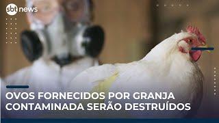 Gripe aviária: governo rastreia ovos fornecidos por granja contaminada | #SBTNews (19/05/25)
