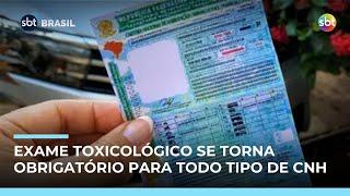 Exame toxicológico passa a ser obrigatório para todas as categorias de CNH 
